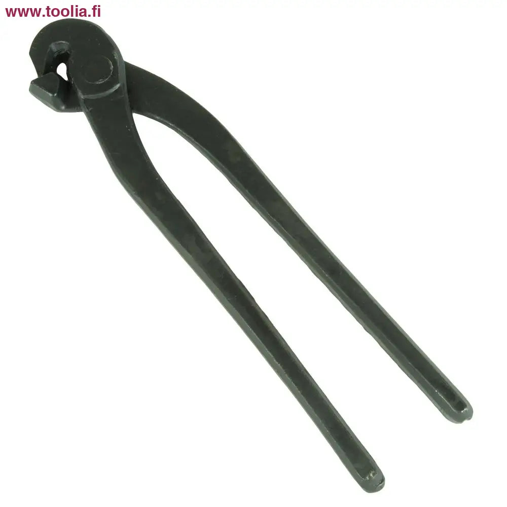 Papukaijapihti Schwan