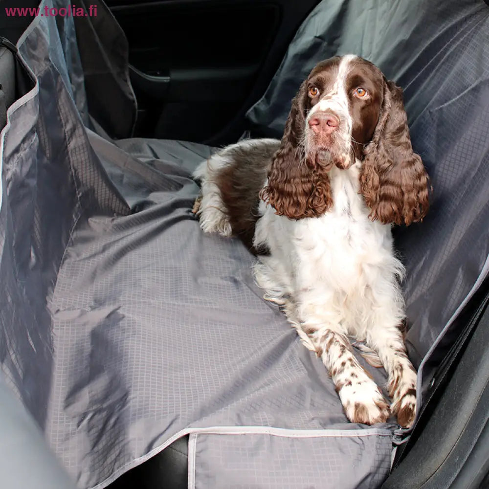 Brava Auton takapenkin suoja