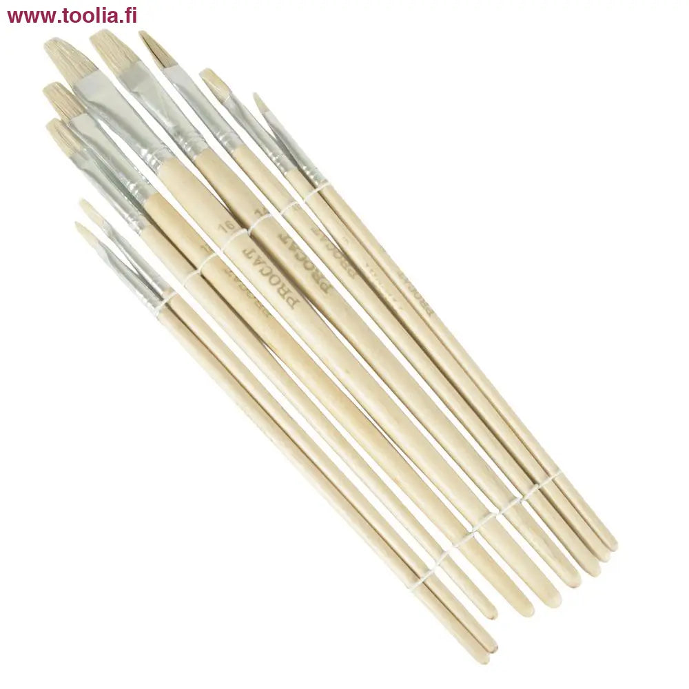 Procat Taiteilijan sivellinsarja 9-osaa litteä harjas