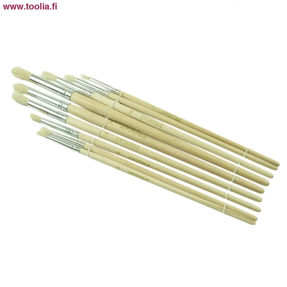 Procat Taiteilijan sivellinsarja 9-osaa pyöreä harjas