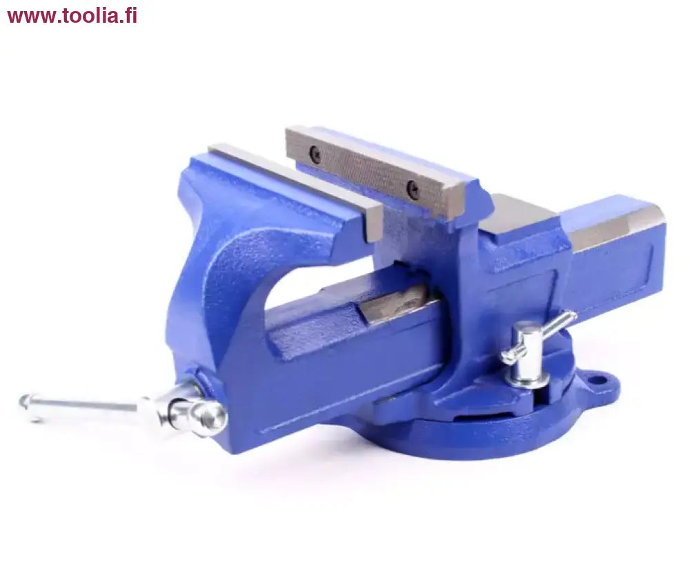 Robota valurautainen ruuvipenkki — 100mm