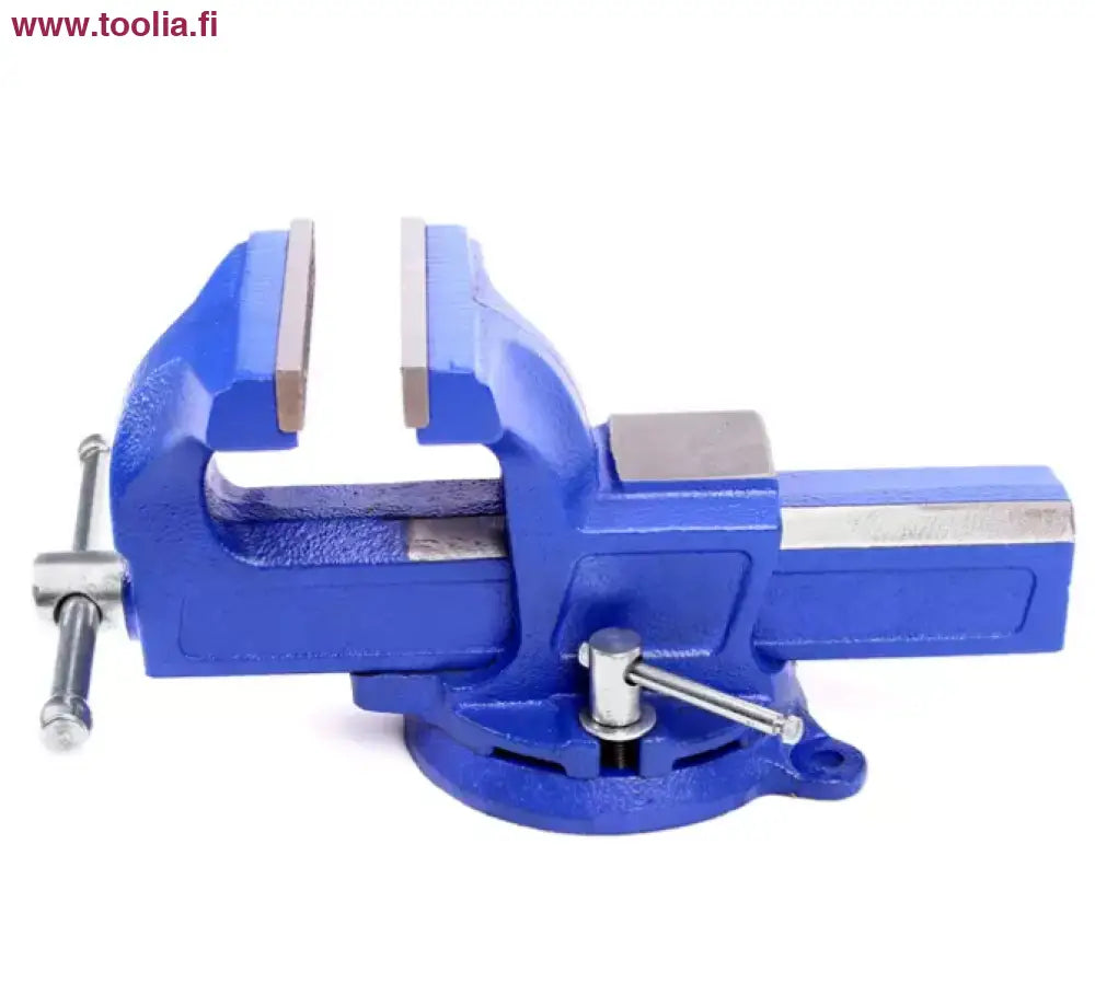 Robota valurautainen ruuvipenkki — 100mm